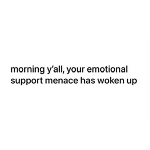 q.png