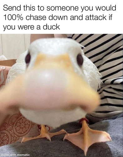 592484158 1399651948224119 1328349889175368514 n.jpg