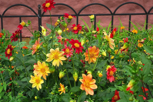 71m3lUWeBLL. AC SL1200 .jpg