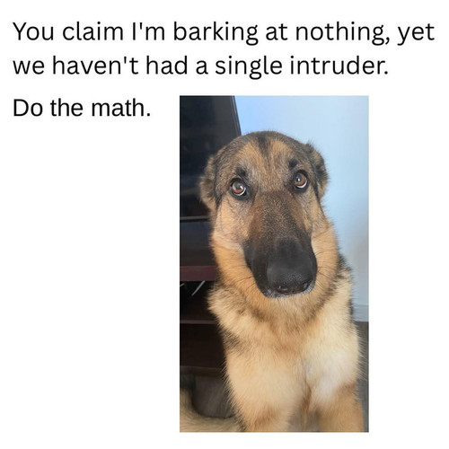 546624976 1337752121080769 3270968547841161838 n.jpg