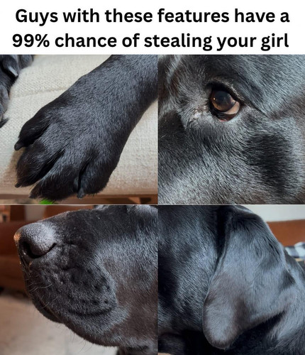 555114762 1348327893356525 1076206141406256506 n.jpg