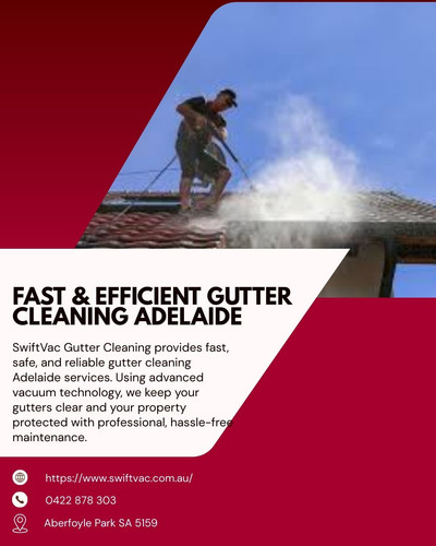 Fast & Efficient Gutter Cleaning Adelaide.jpg
