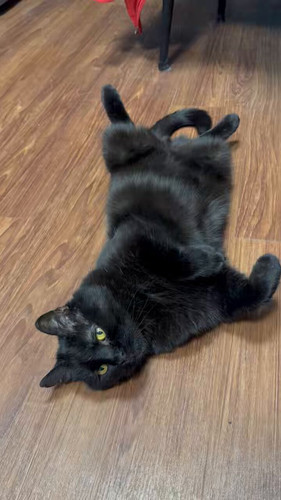 UFaE GZV1yYOesXV.jpg