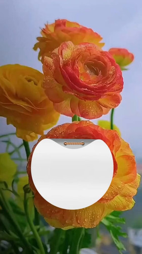 nGnwjATFM kwXN n.jpg