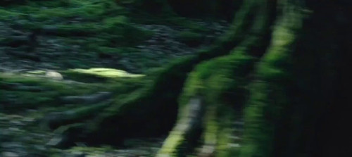 pv0SWpIL 2IvShFb.jpg