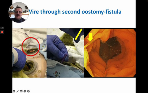 TMXch3seAkZhQ Ma.jpg