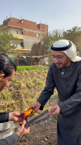 ovWIH21augSw oYq.jpg