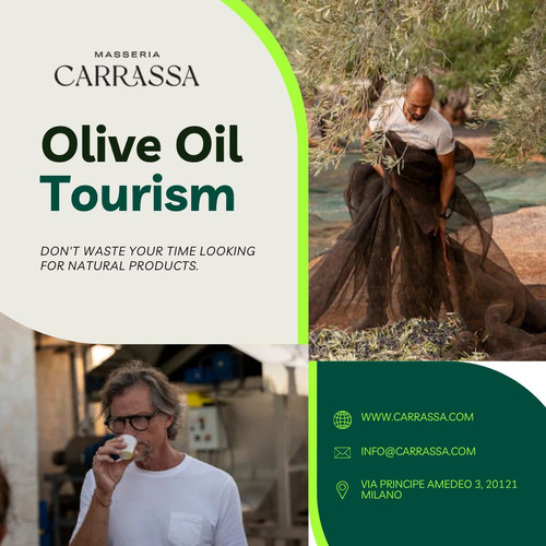 Olive Oil Tourism.jpg
