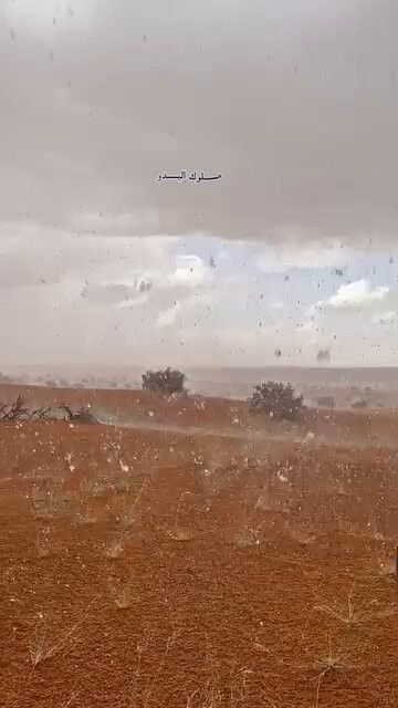 A0paZATYxPqaR Rd.jpg