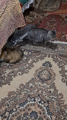 A TaMD90bIynpQ3o.jpg