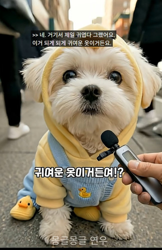 스크린샷 9 12 2025 04420 www.youtube.com.jpg
