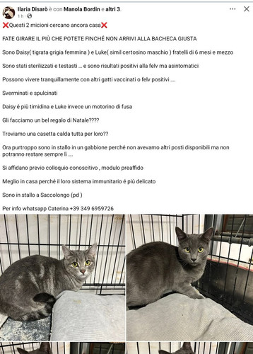 G61VEvTWgAA8EA7.jpg