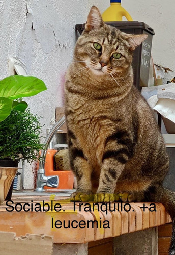 GqAnoe2XYAAZzJE.jpg