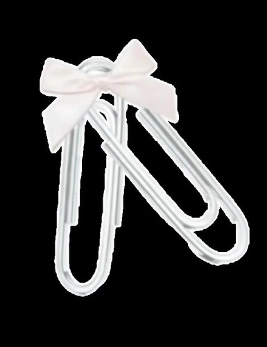 Image 1765265970149.jpg