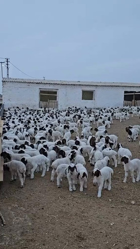 89eo gurWAvnR8hZ.jpg