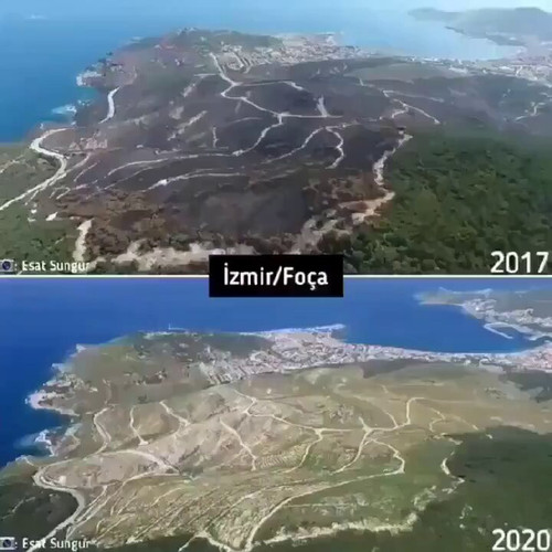 BMkF0Z I00qayxHj.jpg