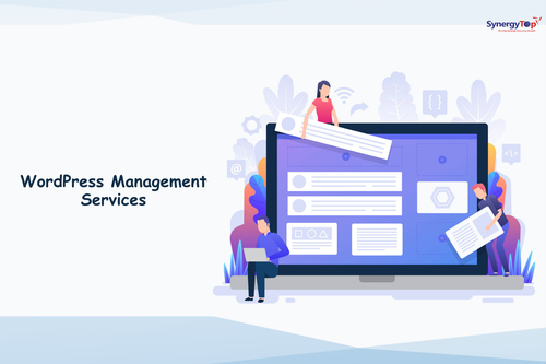 wordpress management services (4).png