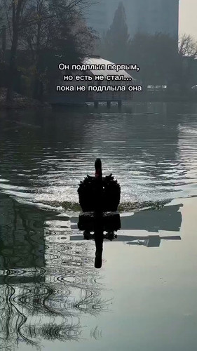 E7F0EGrSyNjrZDmi.jpg