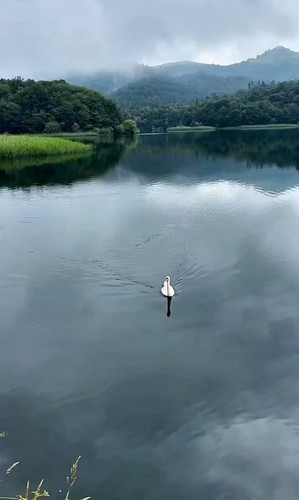 qYx3t abFlotW2Rm.jpg