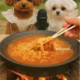 강아지먹방.png