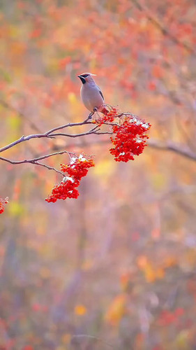 U AgNVBtDm4pO78n.jpg