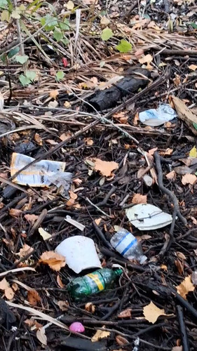 qY jBEPW6a2GYSk4.jpg