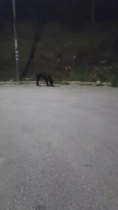 EXAo E3ay Z0Dxf0.jpg