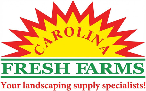 Generated Image December 08, 2025 10 19PM.jpg