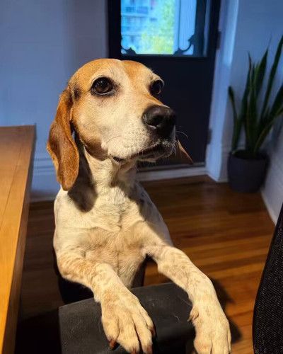 Na7P pJzGkEw5NsY.jpg