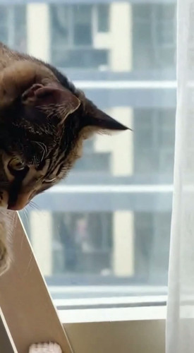 00c515e9 7e83 5246 75a6 1e82457189af last frame.jpg