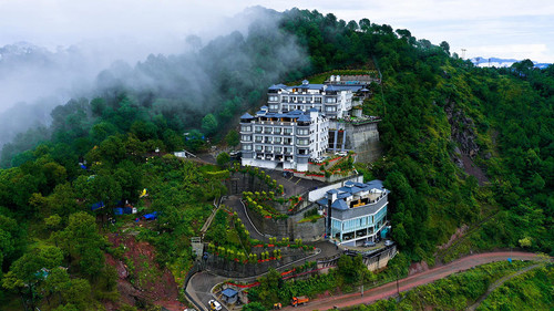 Kasauli New Year Packages by CYJ: Adventure, Comfort & Celebration.jpg