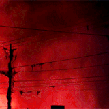 99c2acec669838696332c2f4602f4b57.gif