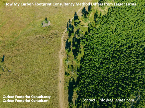 Carbon footprint.jpg