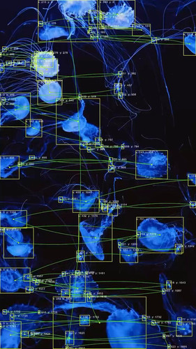 ZjI7towAacbZIbnH.1