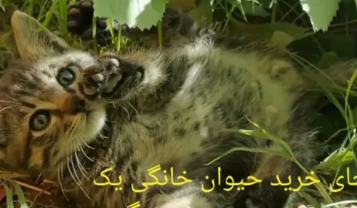 G7ot7mOWoAAeTGw.1