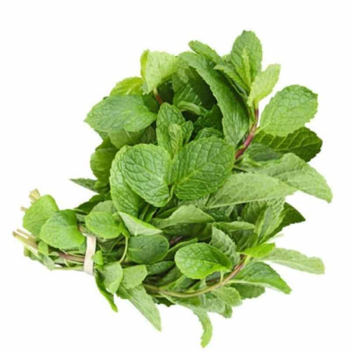 bandung farmer daun mint 100 gr fresh full01 tujpjy1u.1