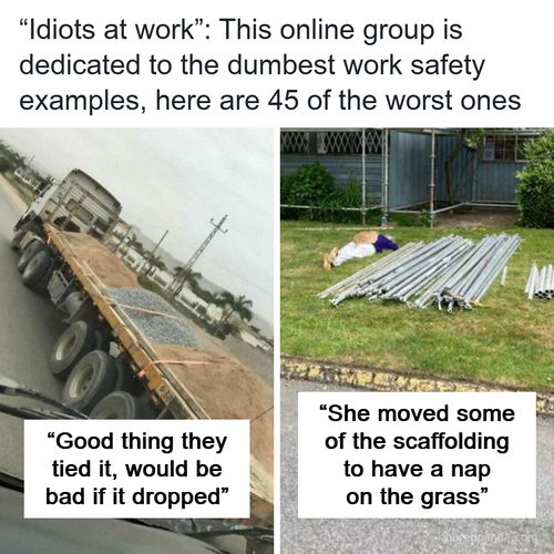 idiots at work.png