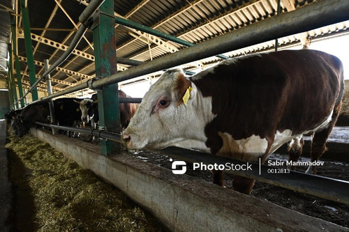 EFr51Q fOsHBDK4x6eEz q5LtUb7NeiBH2VbXh4AagRwsfH6ndeBwbmyadey1qYDCOX3CSOTjG2VjjoOs RlOZjduV3UsCEfZHfH.jpg