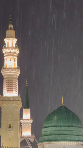 59Yny6XRk yZs8IB.jpg