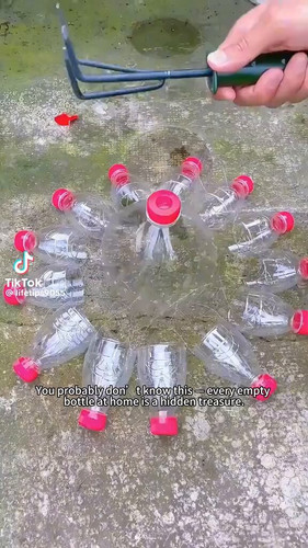 ZndFIr2zJJidUUrU.jpg