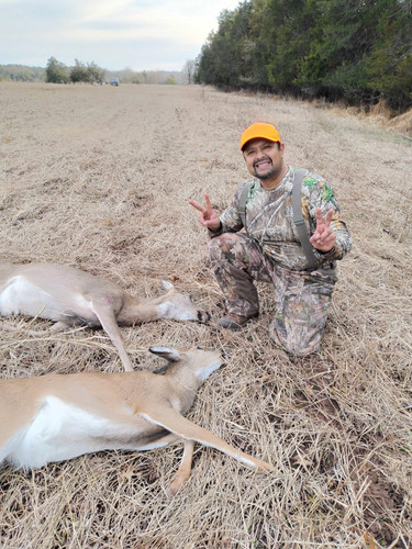 Deer.jpg
