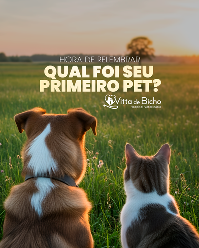 QUAL FOI SEU PRIMEIRO PET .png