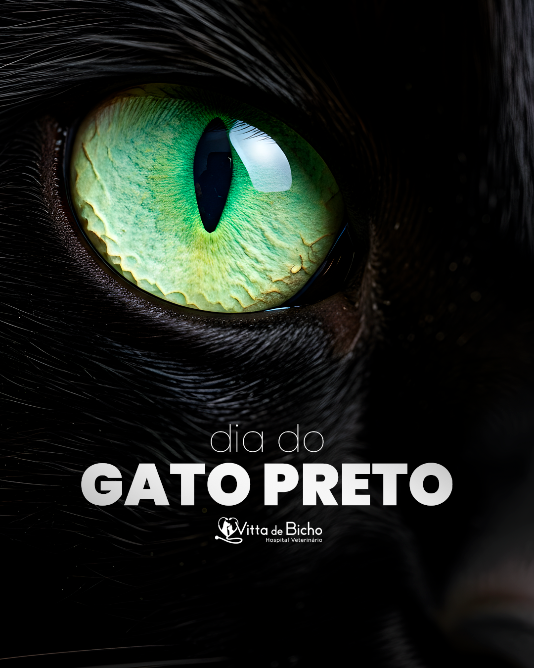 Capa Gato Preto