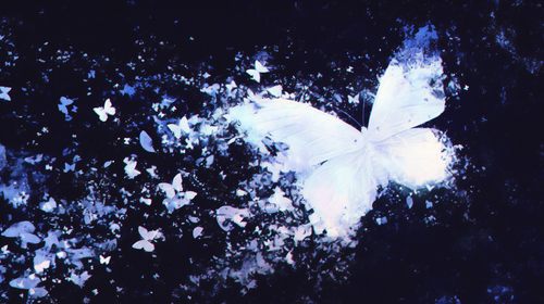 轮回司美工素材 (26).png