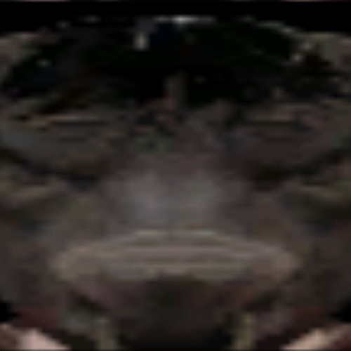 a1159f1c24c3.jpg