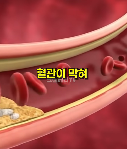 스크린샷 2025 12 09 043814.png