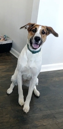 e5c8cb43 bab2 48c9 b1a6 293fdfa413fe.jpg