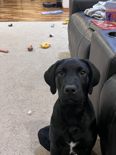 8ea4d356 8576 4ef8 8817 6a74096bcfb8.jpg