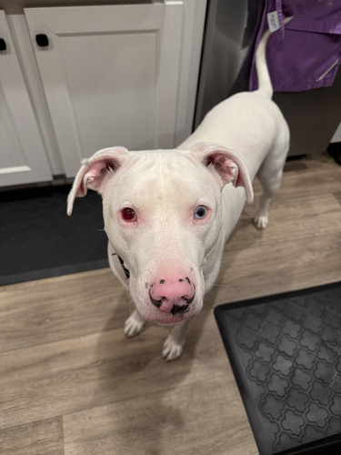 2122bd79 37c6 490e a5cc e6badc326a7f.jpg