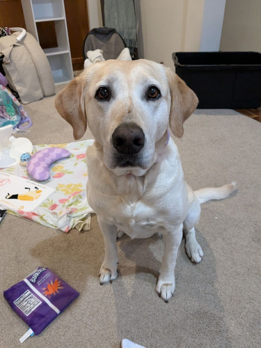 f273a8f0 54ee 4667 8cb7 981ed883188d.jpg